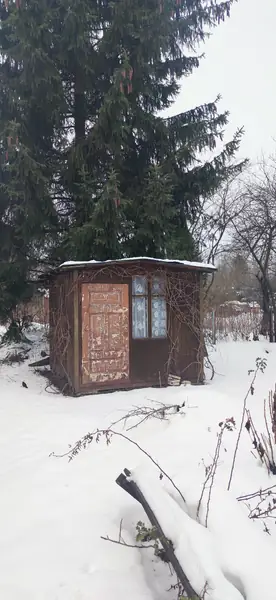 Działki Polek i Polaków okiem Sylwii Wiśniewskiej