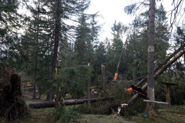 Skutki wichury w okolicach Zakopanego