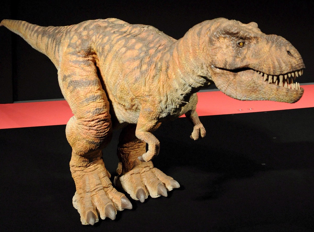 Tyranozaur okazał się padlinożercą