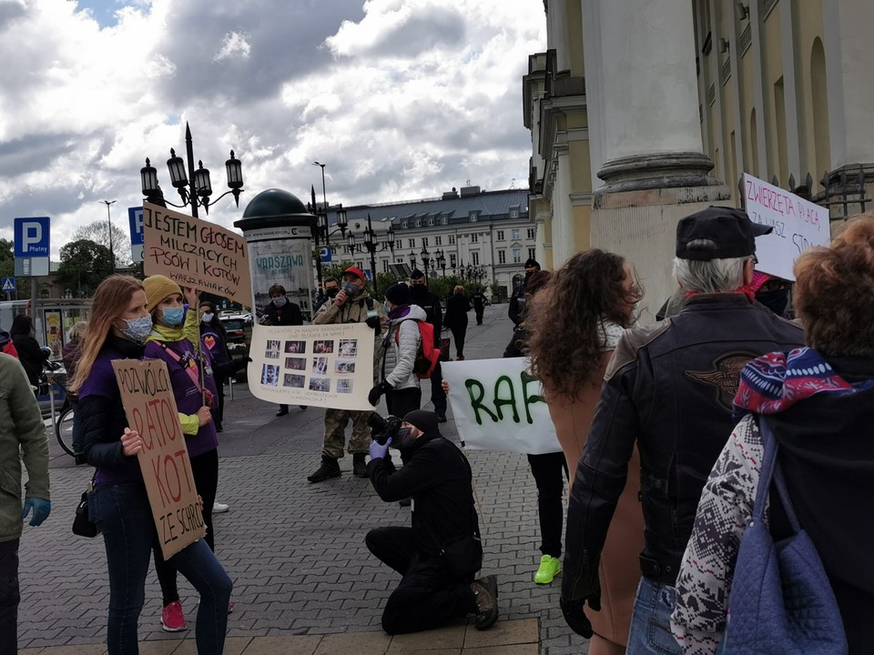 Protest wolontariuszy ze schroniska "Na Paluchu"