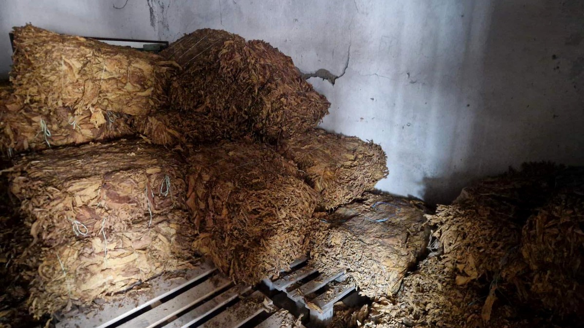 Zaplenjen duvan u balama kod Sremske Mitrovice