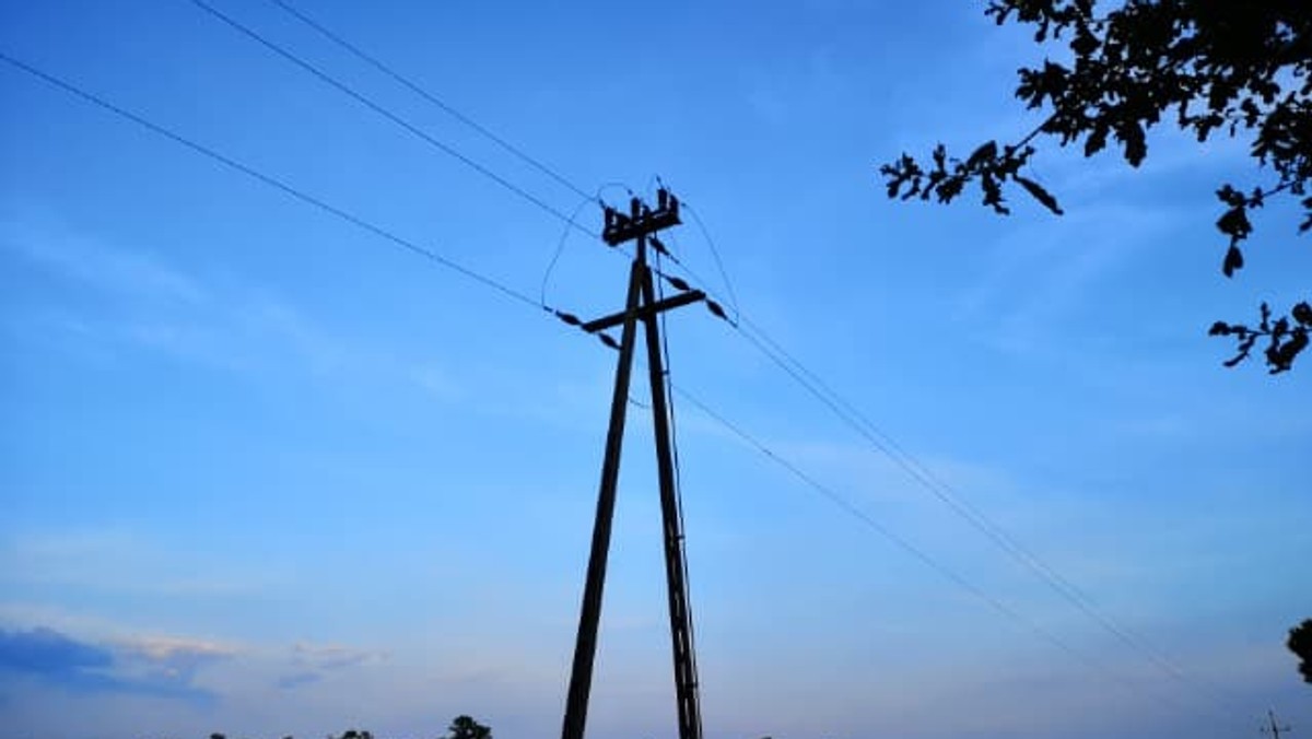 Stare słupy energetyczne zabójcze dla bocianów. Alert ekologów