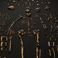 Homo naledi