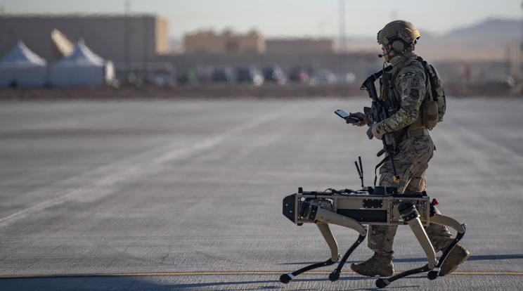 Ez a különleges amerikai robotkutya olyan harci rendszer része, amely a csatatéren a katonákat segíti a megfelelő döntések meghozatalában. /Fotó: Northfoto