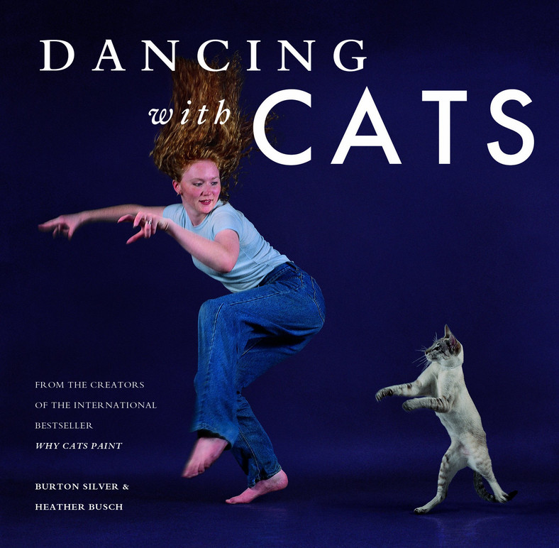 "Taniec z kotami"