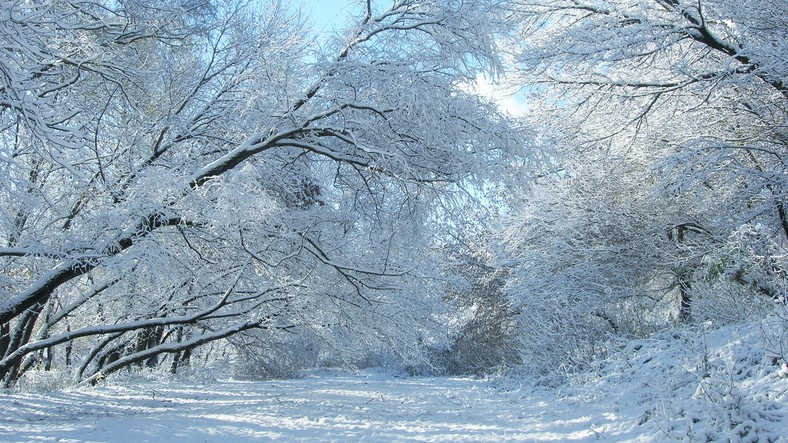 Nem lesz melegünk idén télen /Fotó: Northfoto