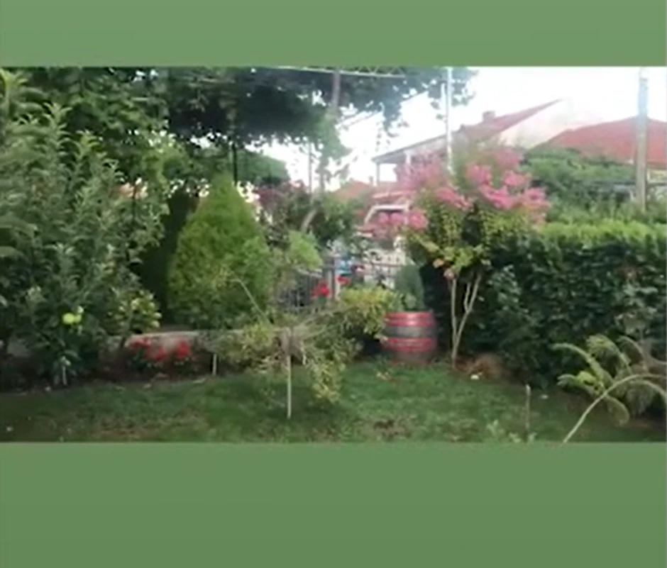 Nataša Ninković, imanje