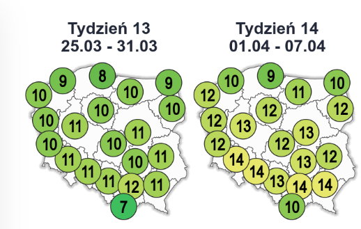 Prognoza średniej temperatury maksymalnej w Polsce pod koniec marca i na początku kwietnia