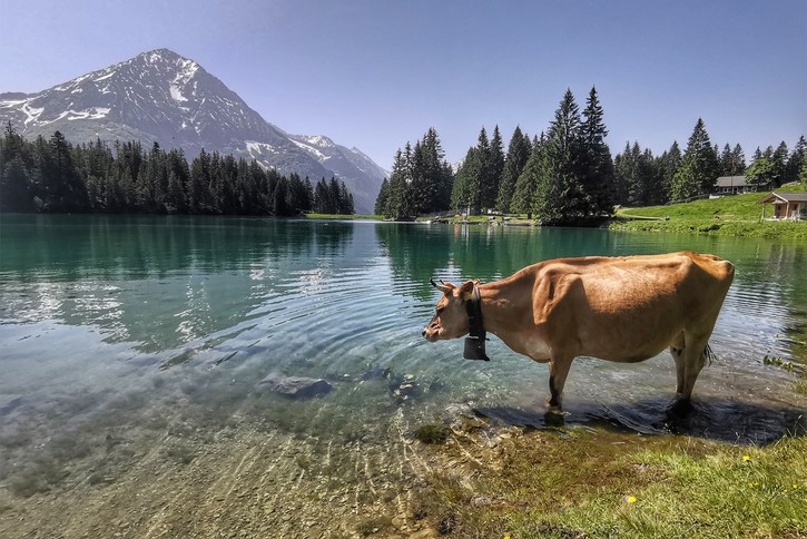 Auch der Rundweg um den Arnisee lohnt sich allemal.