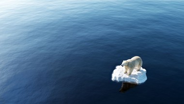 nie mów im, co mają robić. wywiad z noblistą o narracjach w nauce.