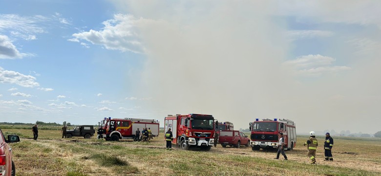 Pożar w Biebrzańskim Parku Narodowym "opanowany"