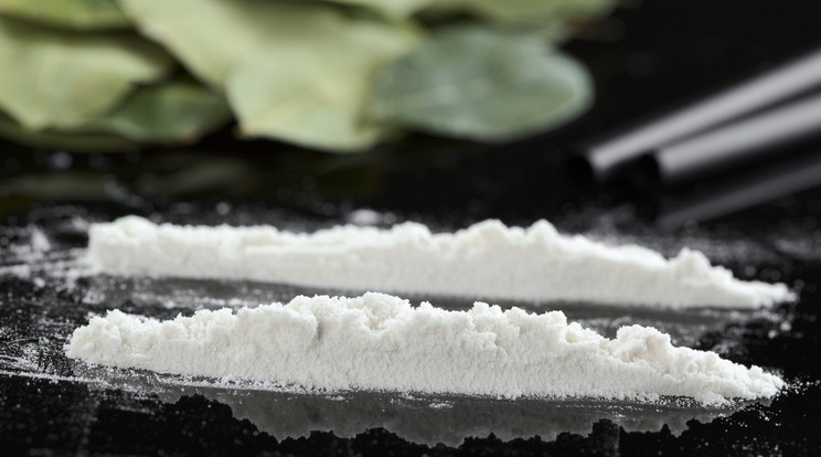 Másfél tonna kokaint találtak/Fotó:Northfoto