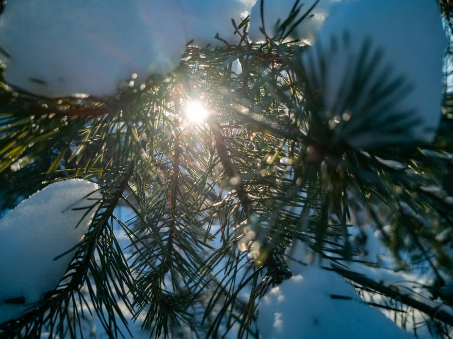 Ilyen időjárásra kell számítanunk az elkövetkezendő napokban. Fotó: Northfoto