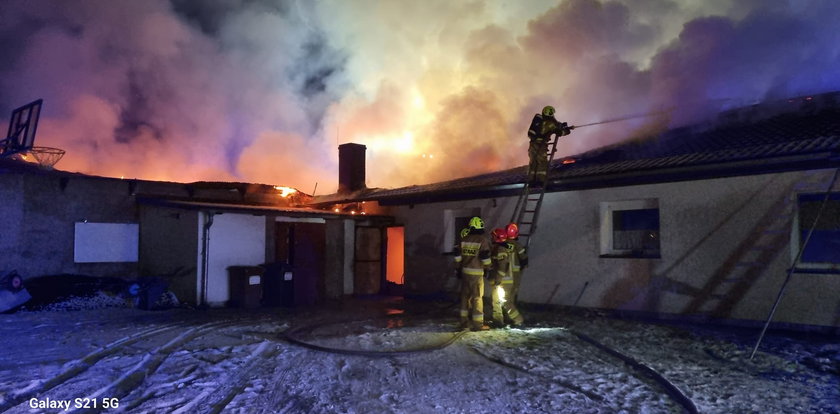 Tragiczny pożar koło Gorzowa. Spłonęło żywcem kilka tysięcy zwierząt