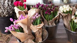 co zrobić, aby kwiaty stały długo w wazonie? dodać do wody sól, cukier czy aspirynę?