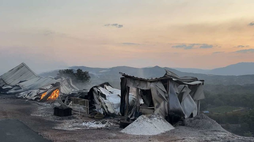 Požar u Piperima, Crna Gora