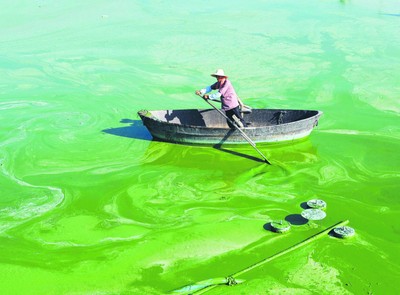 Jezioro Chaohu w Chinach: kapitalizm bezlitosny dla przyrody