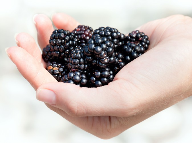 Owoce i warzywa do każdego posiłku