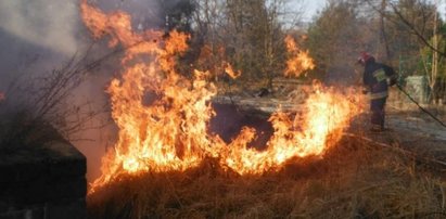 Szef strażaków mógł spalić las! Fatalna wpadka!