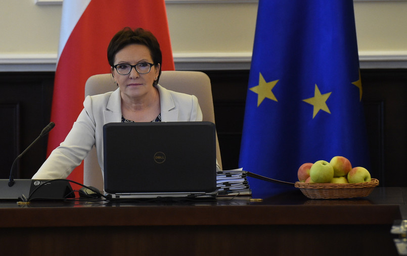 Premier Ewa Kopacz podczas posiedzenia Rady Ministrów, PAP/Radek Pietruszka