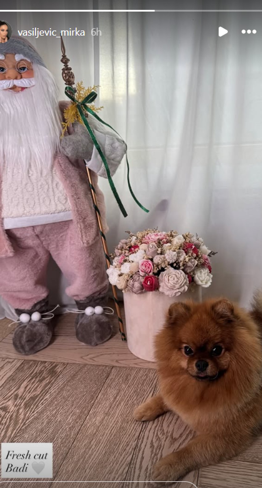 Mirka Vasiljević, objava