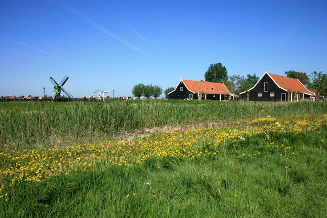 Galeria Holandia - Zaanse Schans, obrazek 34