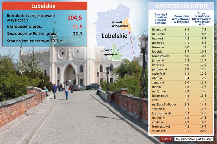 W województwie lubelskim bez pracy pozostaje 104,5 tys. ludzi, co przekłada się na wskaźnik bezrobocia rejestrowanego w wysokości 11,5 proc., o 1,2 pkt proc. więcej niż wynosi wskaźnik dla całej polski. <br><br>W najlepszej sytuacji są mieszkańcy powiatu biłgorajskiego (stopa bezrobocia 7,2 proc.) oraz miasta Lublin (8,2 proc.). Najwyższą stopę bezrobocia rejestrowanego odnotowano w powiecie włodawskim i wynosiła ona 20,9 proc.