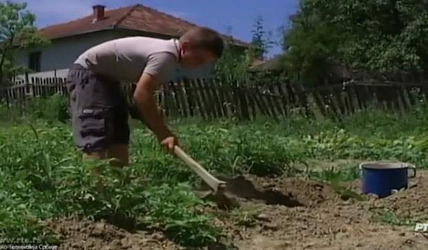 Milija Jelić