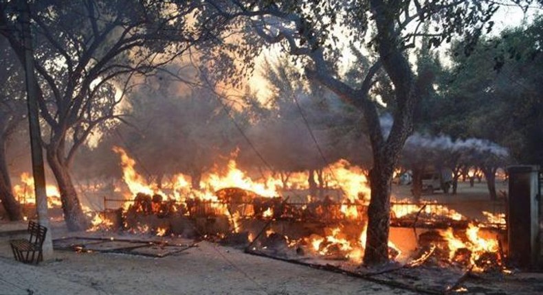 Gunfire erupts as police clash with squatters in Indian park, 22 killed