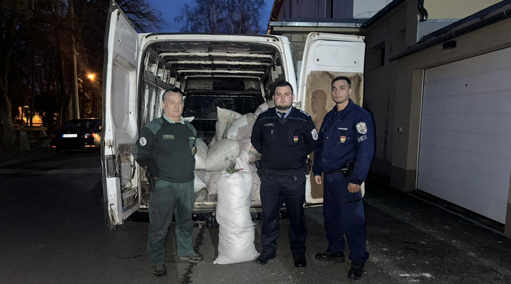 Tizenöt hatalmas zsákot töltött meg a természetvédelmi területről elorzott, 260 kilónyi erdei moha   Fotó:police.hu