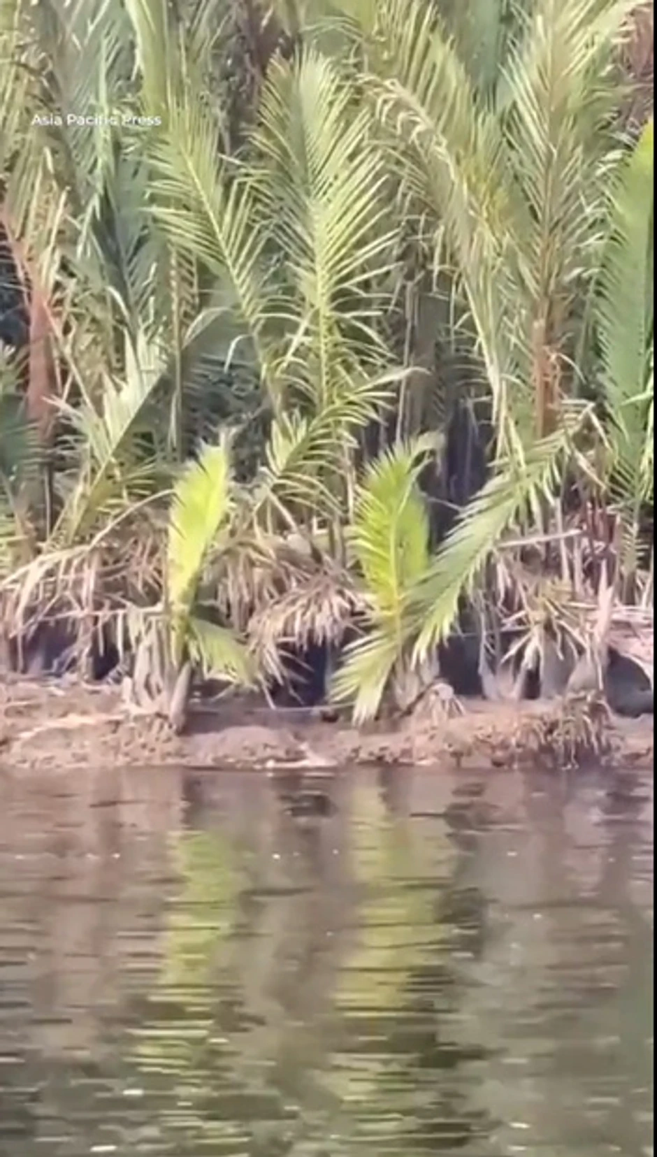 Reka u kojoj je dečak stradao