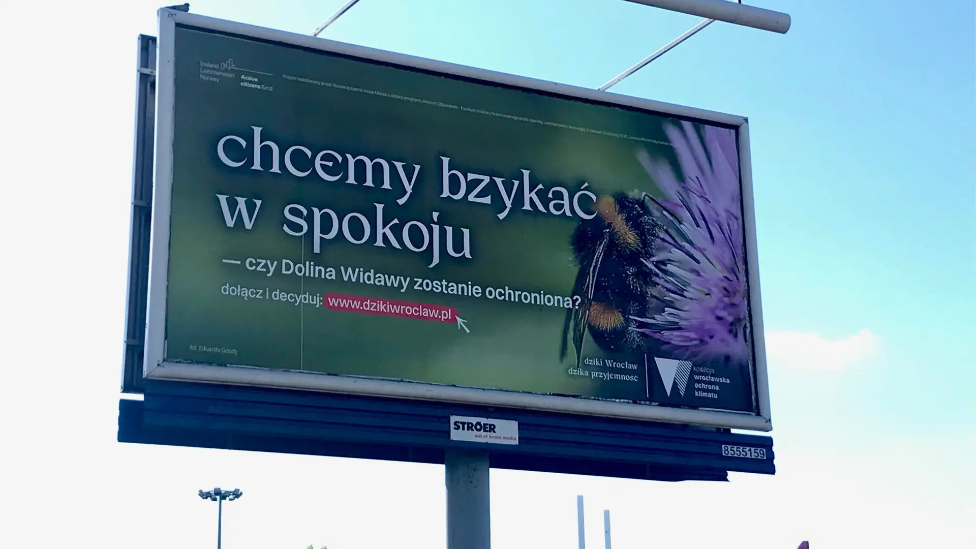 "Chcemy mieć mokro", "kochaj, nie rżnij", "chcemy bzykać w spokoju". Nowa kampania ochrony przyrody