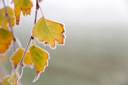 Przymrozki, deszcz ze śniegiem i szadź... Pogoda nie będzie nas rozpieszczać