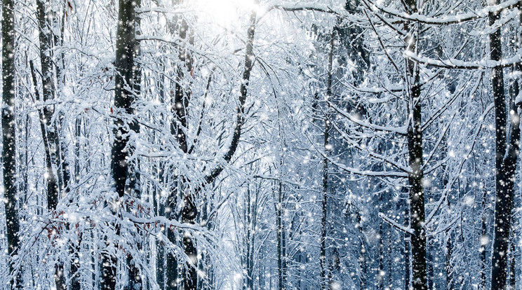 A Mátrában már havazott /Fotó: Northfoto