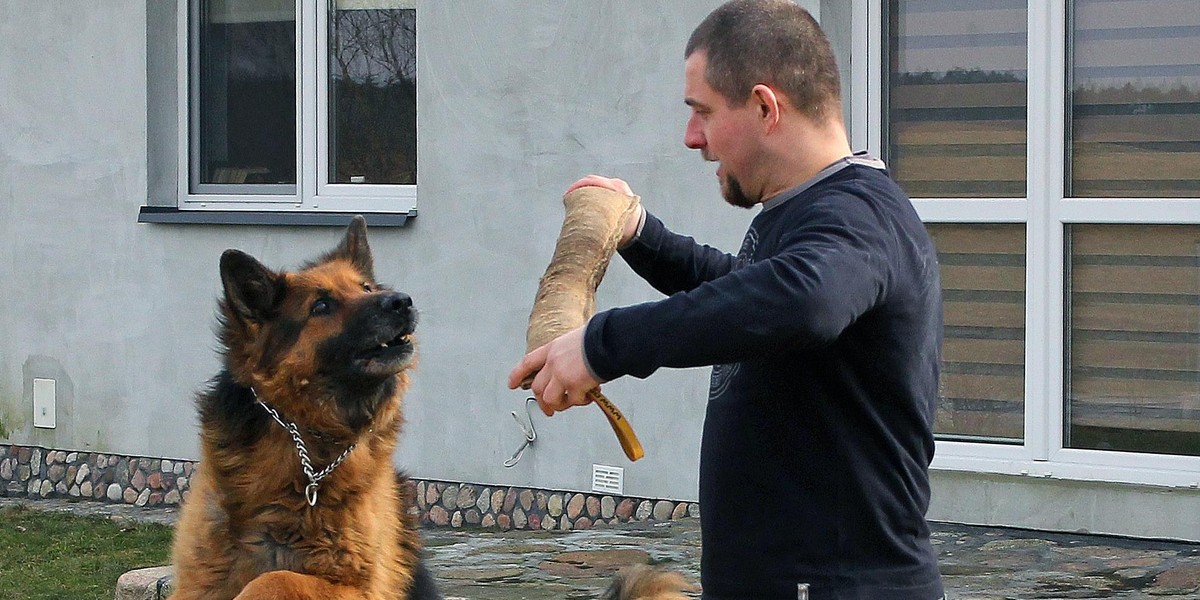 Pies Dikon odmaszerował na emeryturę