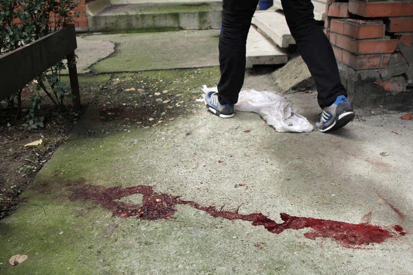 Paja Stojanović ubijen u sačekuši u Zemunu