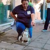 Beba pingvin u Beo zoo vrtu