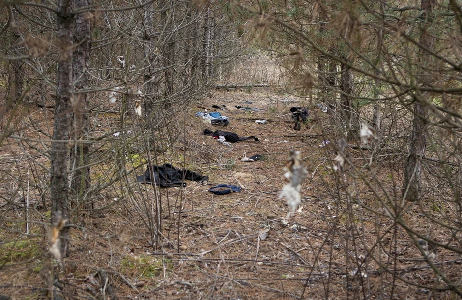 Šuma kroz koju Albanci prolaze na putu ka Mađarskoj