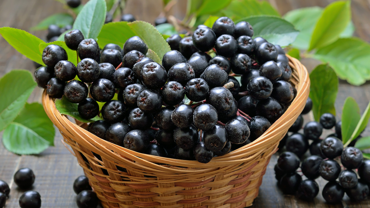 Aronia na ciśnienie, wzrok i cerę. Jak ją stosować?