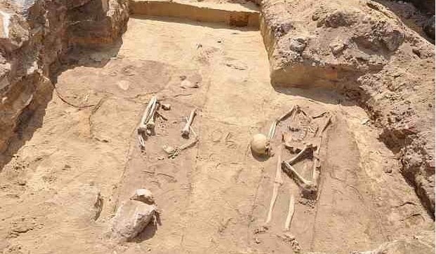 361262_polska-vampiri