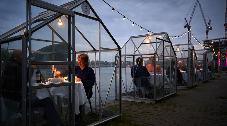 Amszterdam újranyitott étterem / Fotó: Northfoto