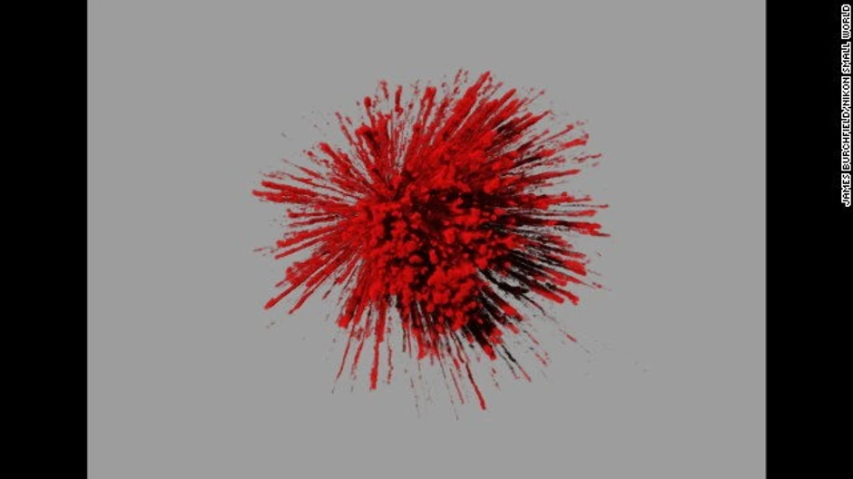 Džejms Burčifild - eksplozivna dinamika transporta šećera u masnom tkivu