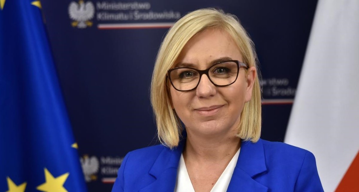 Pomyłki się zdarzają, czyli rzecz o znikającej minister [OPINIA]