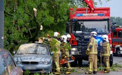 Pożary i powalone drzewa. 1825 interwencji strażaków przez burze