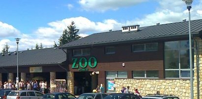 Horror w zamojskim Zoo! Kobieta chciała sobie obciąć głowę