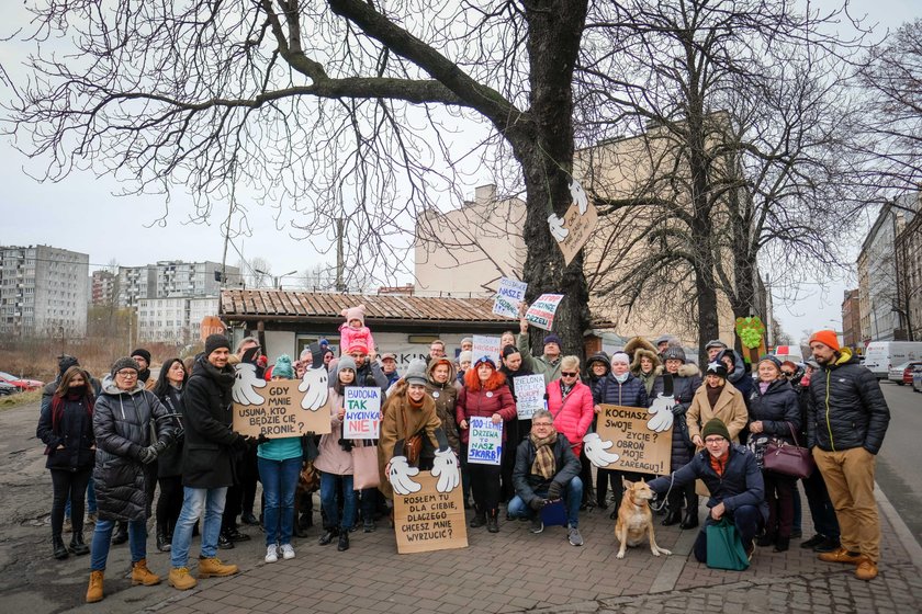 Katowice. Wiec w obronie kasztanowców przy ul. Raciborskiej