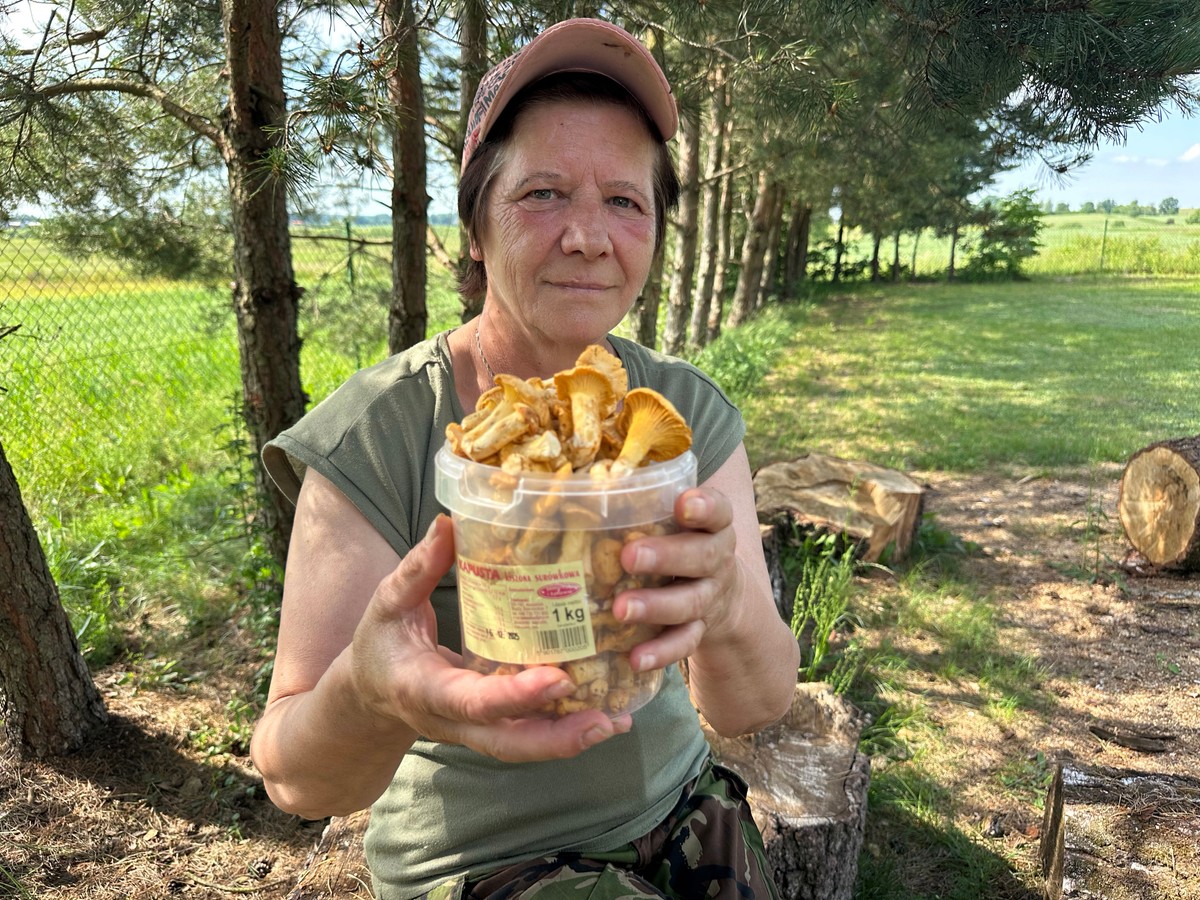 Była w lesie dwie godziny. "Nazbierałam z pół kilograma"