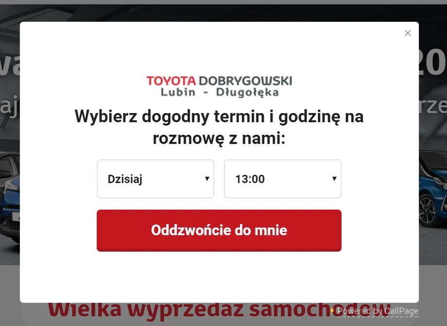 Okienko wtyczki CallPage z możliwością wyboru terminu rozmowy