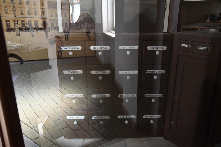 Prva apoteka u Novom Sadu, pod nazivom "Kod crnog Arapina", otvorena je 1740. godine i bila je vlasništvo Tome Anderlea