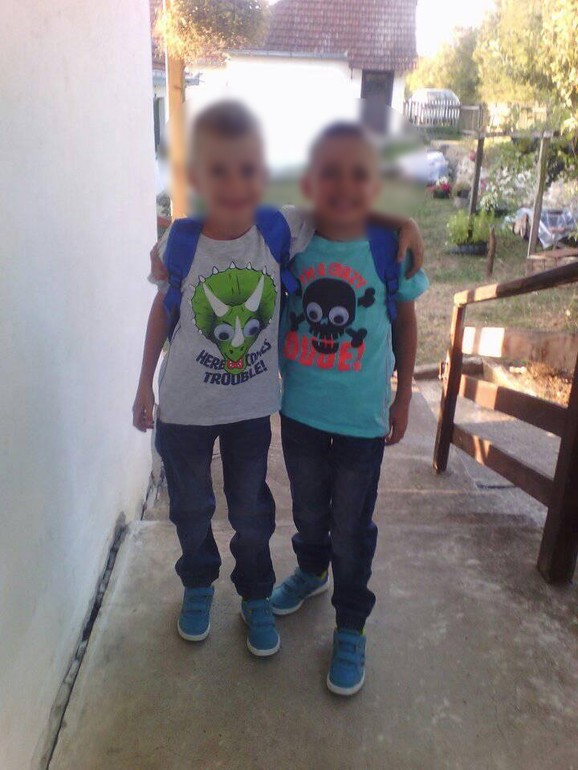 Vuk i Naum Pešić